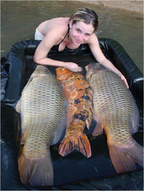 Dulapi - 1230022473080002790321727586849n.jpg